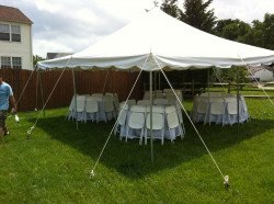 20ft x 20ft Pole Tent