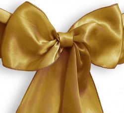 Screenshot 20230707 235620 Amazon20Shopping 1688789172 Gold Ribbon Tie Back Sash